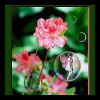 5x7 Pink flowers wBubbles-02